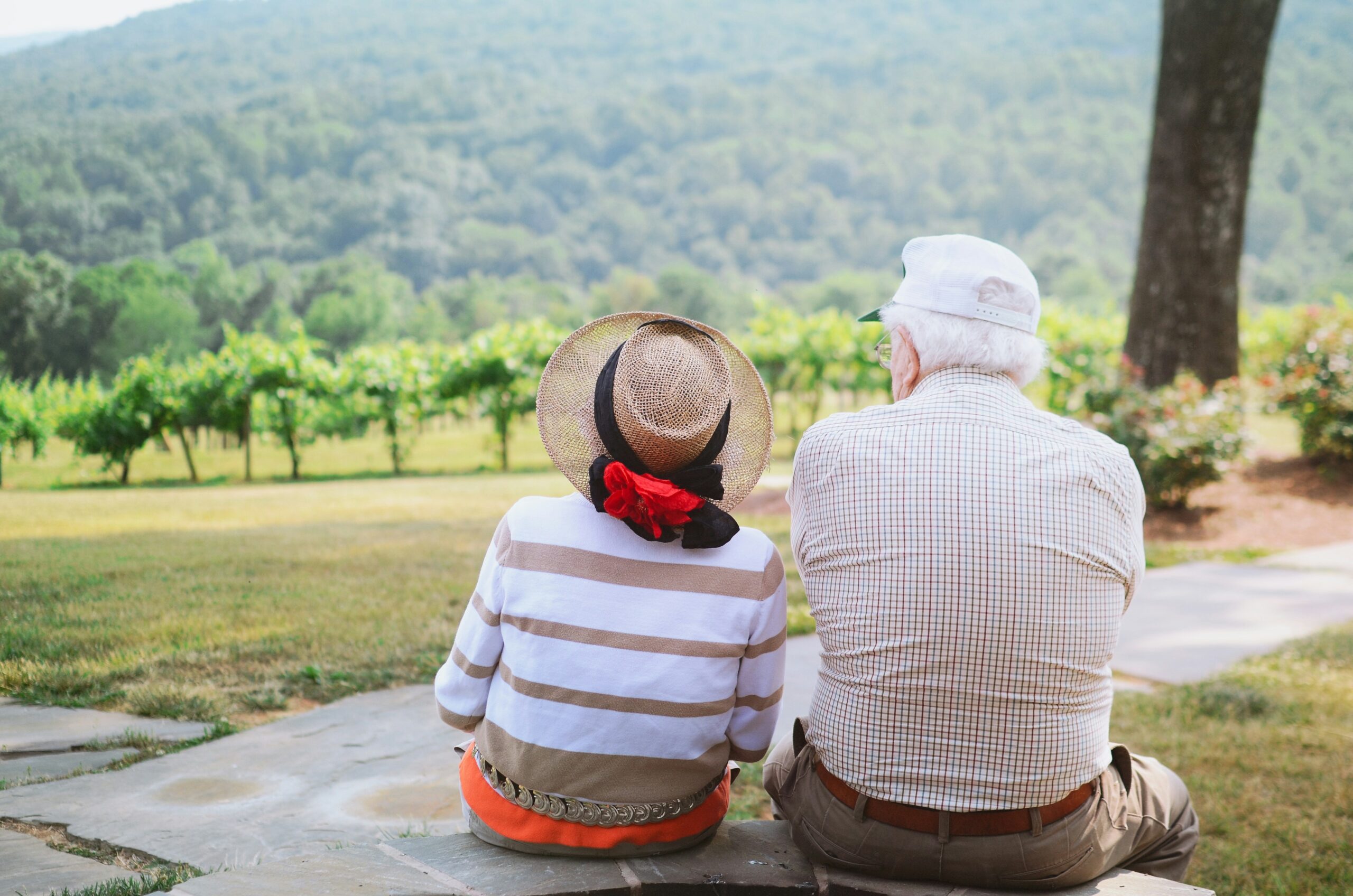Elderly couple sitting on a bench overlooking a vineyard